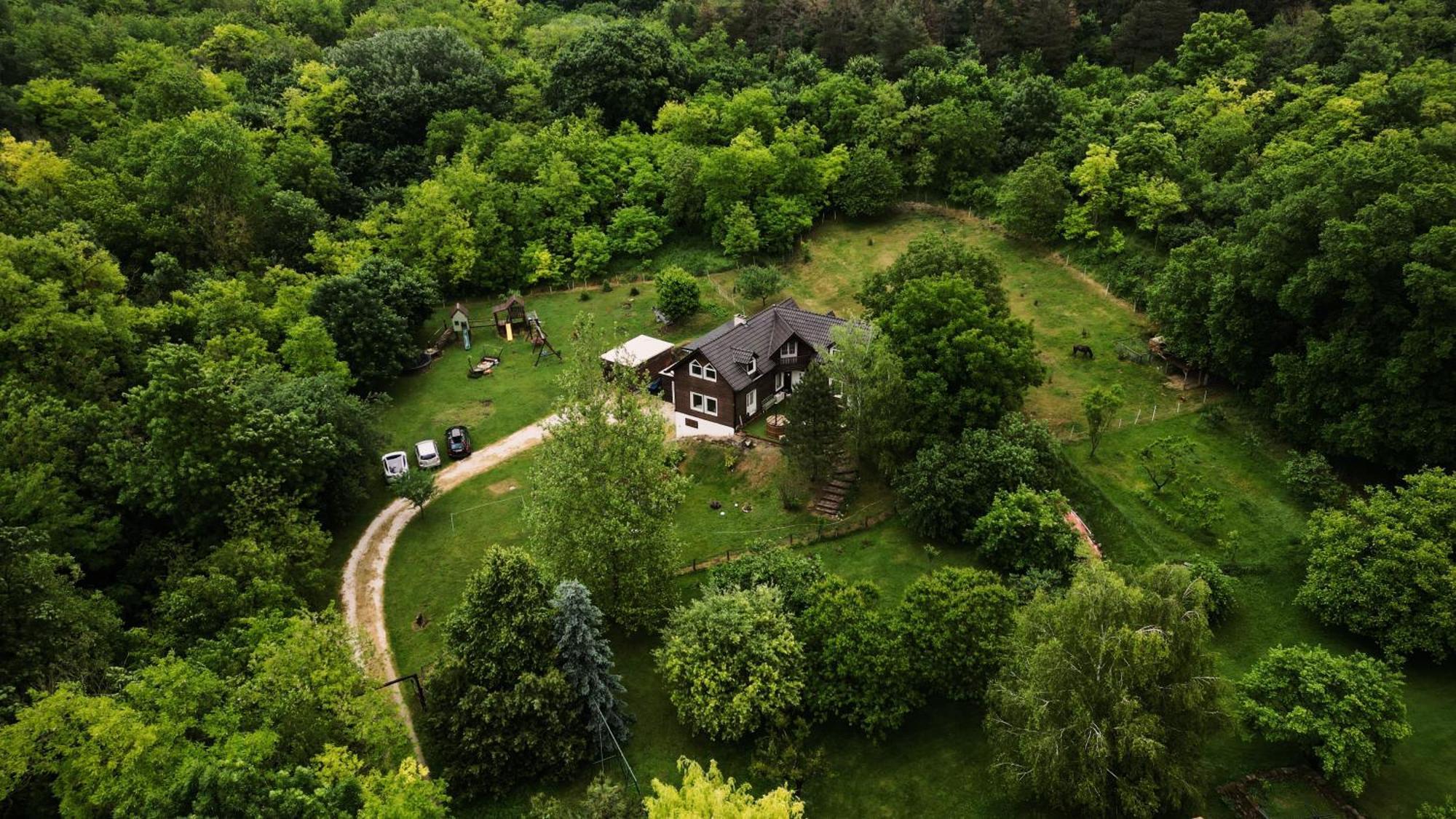 Holiday home Cosy Forest House Vertesacsa