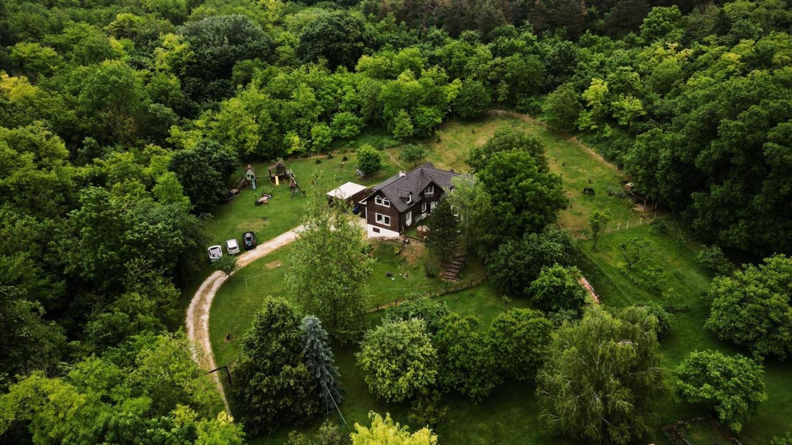 Cosy Forest House Vertesacsa